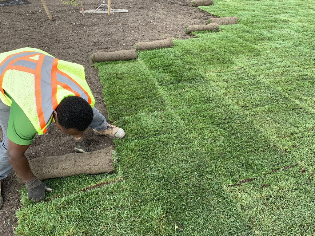 Sod Installation in Warren project 1