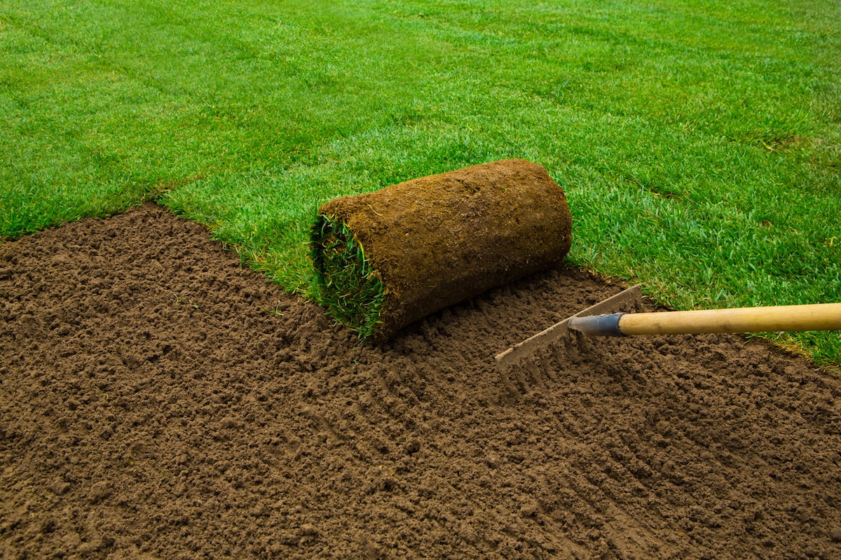 Sod Installation in Warren project 2