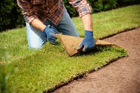 Sod Installation in Warren project 3