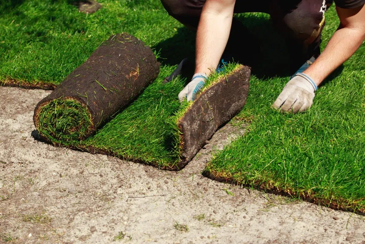 Sod Installation in Warren project 4