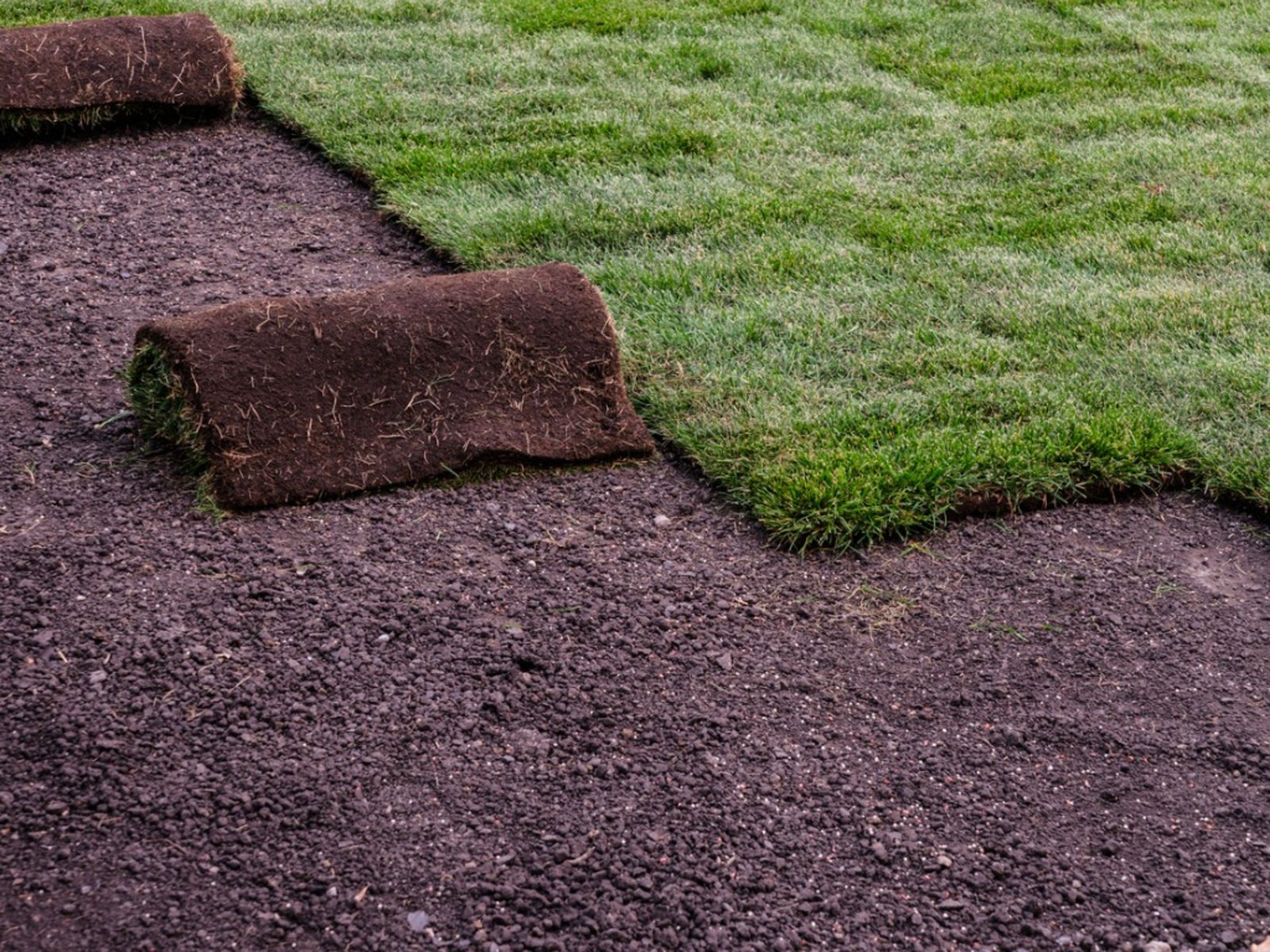 Sod Installation in Warren project 5