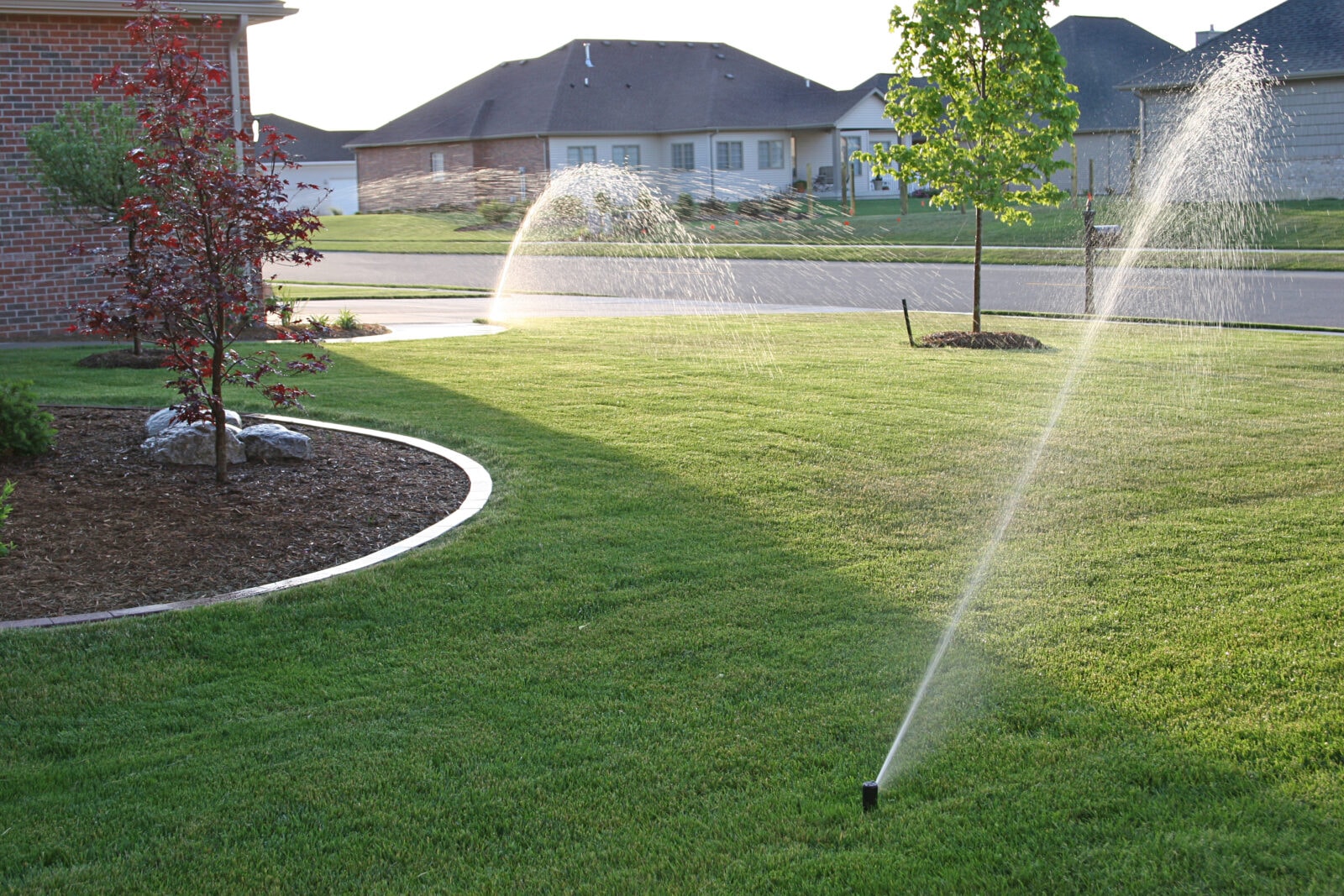 Irrigation System Installation in Warren project 2