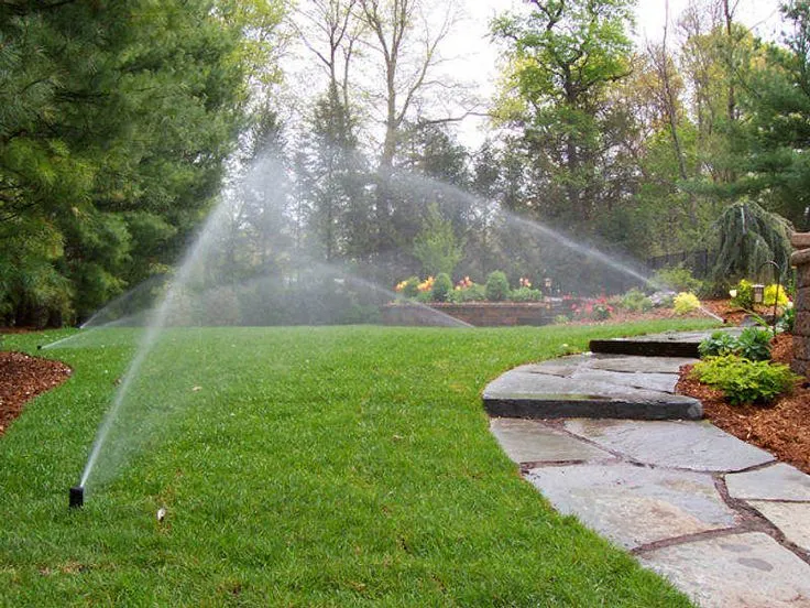 Irrigation System Installation in Warren project 4