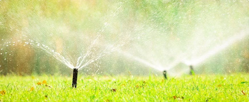 Irrigation System Installation in Warren project 5