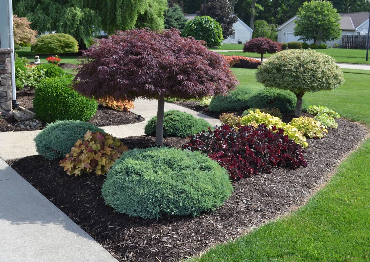 Landscape Design in Warren project 6