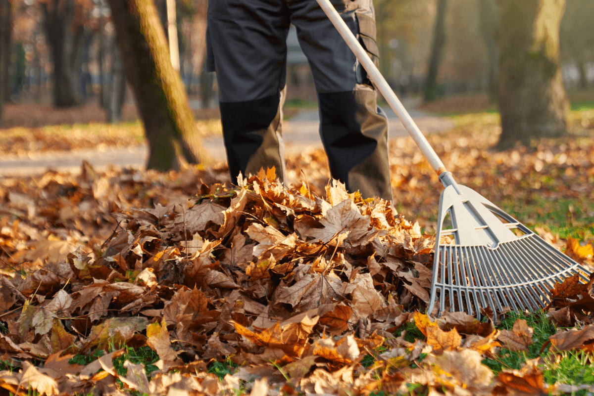 Leaf Removal in Barrington project 2