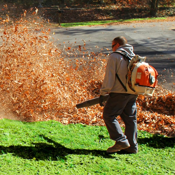 Leaf Removal in Barrington project 3