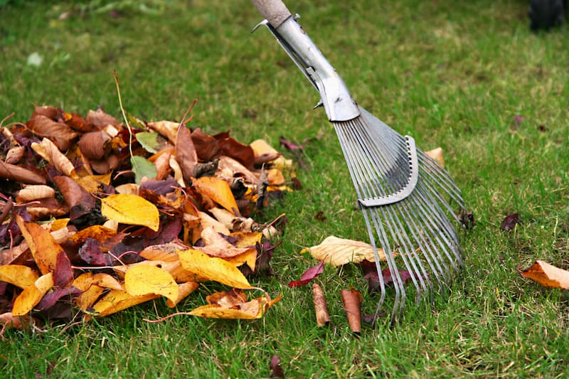 Leaf Removal in Barrington project 4