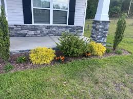 Tree & Shrub Planting in Warren project 4