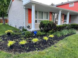 Tree & Shrub Planting in Warren project 5