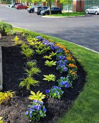 Tree & Shrub Planting in Warren project 6