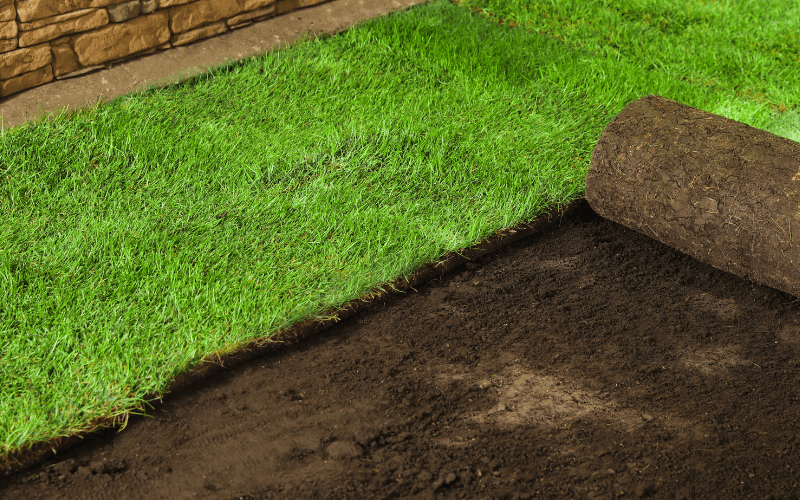 Sod Installation in Warren, RI