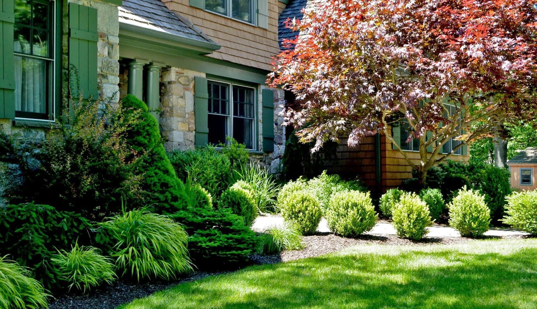 Tree & Shrub Planting in Warren, RI